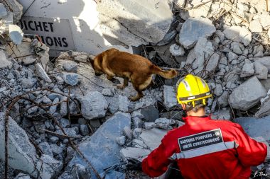 exercice SD Cyno du 23 11 2017-3492