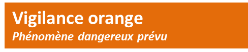 vigilance orange